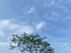 -田心森林公园