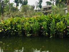 -枫香湖儿童公园