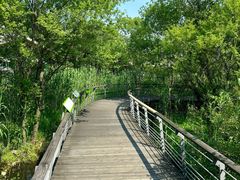 -西湖风景区-江洋畈生态公园