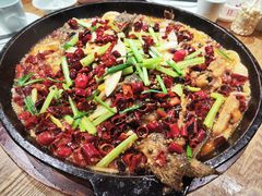 -老板恋上鱼(高新万达店)