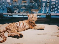 -浙江自然博物院(杭州馆)