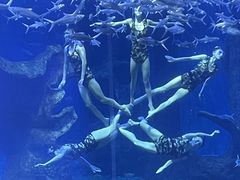 -多彩贵州城极地海洋世界