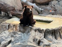 -珠海长隆海洋王国