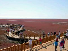 -红海滩国家风景廊道