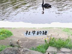 -沈阳森林动物园