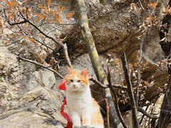 -终南山南五台景区