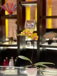 -广州文华东方酒店·水疗中心