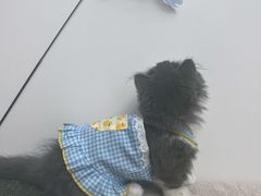 -袖虎·猫馆(体育西路店)