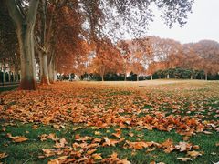 -河南省黄河迎宾馆