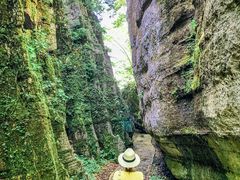 -山王坪喀斯特国家生态公园