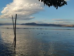 -洱海月湿地公园