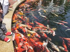 -国色天乡三期陆地乐园