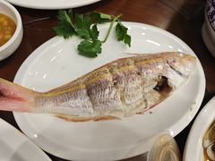 -长平肥姐白粥·海鲜打冷