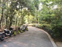 -杭州黄龙洞