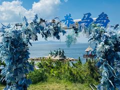 -养马岛旅游度假区