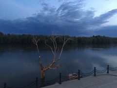 -新疆风味冷水鱼庄(友谊峰路店)