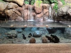 -上海海洋水族馆