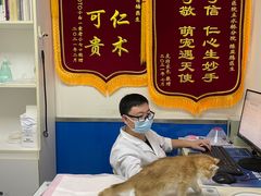 -宠福鑫动物医院(立水桥分院)