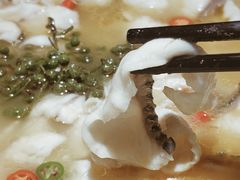 青花椒一代（小分）-青花椒花椒鱼(合生汇店)