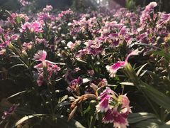 -人民公园(罗湖区)