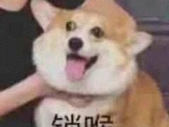 -阿莉餐厅(枣阳路店)