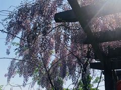 -九龙潭景区
