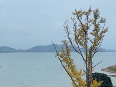-余姚四明湖开元名都度假酒店·夏威夷西餐厅