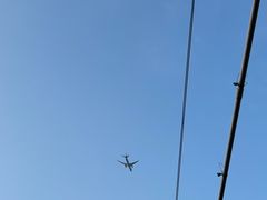 -大眼强五杯鹅·桑拿鸡煲