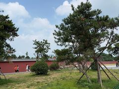 -洛阳白马寺