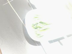 -蜀九香火锅(彩虹店)