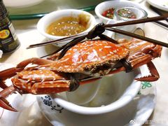 -天鹰观渔(梦园店)