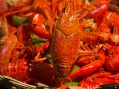 -蚝翅·海鲜粥·烧烤·龙虾季(海曙天一店)