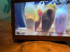 -沈阳海洋探索中心