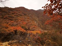 -周口店坡峰岭风景区