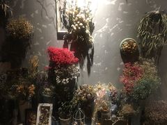 -ZooYoo佐佑咖啡(鼓楼店)