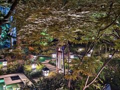 -苏州湾·王焰温泉