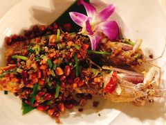 -Onion restaurant