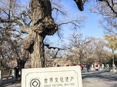 -北陵公园