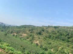 -府君山公园