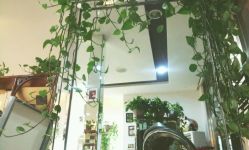 android_upload_pic-飞雨言美容美发