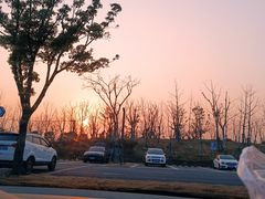 -上海滨江森林公园