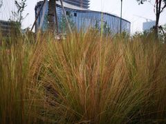 -丹东路渡口(轮渡站)