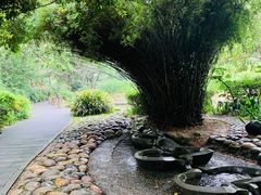 -成都市活水公园