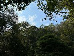 -碧峰峡风景区