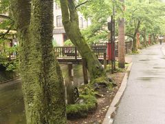 -城崎温泉 外七汤