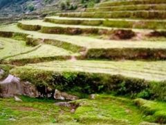 -大姆山草场