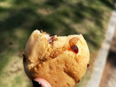-Juicy Bakery(大学路店)