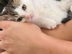 -美联众合动物医院·24h转诊中心