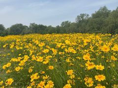 -汉长安城未央宫国家考古遗址公园
