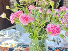 -一棵树·意大利西餐厅One Tree(新城店)